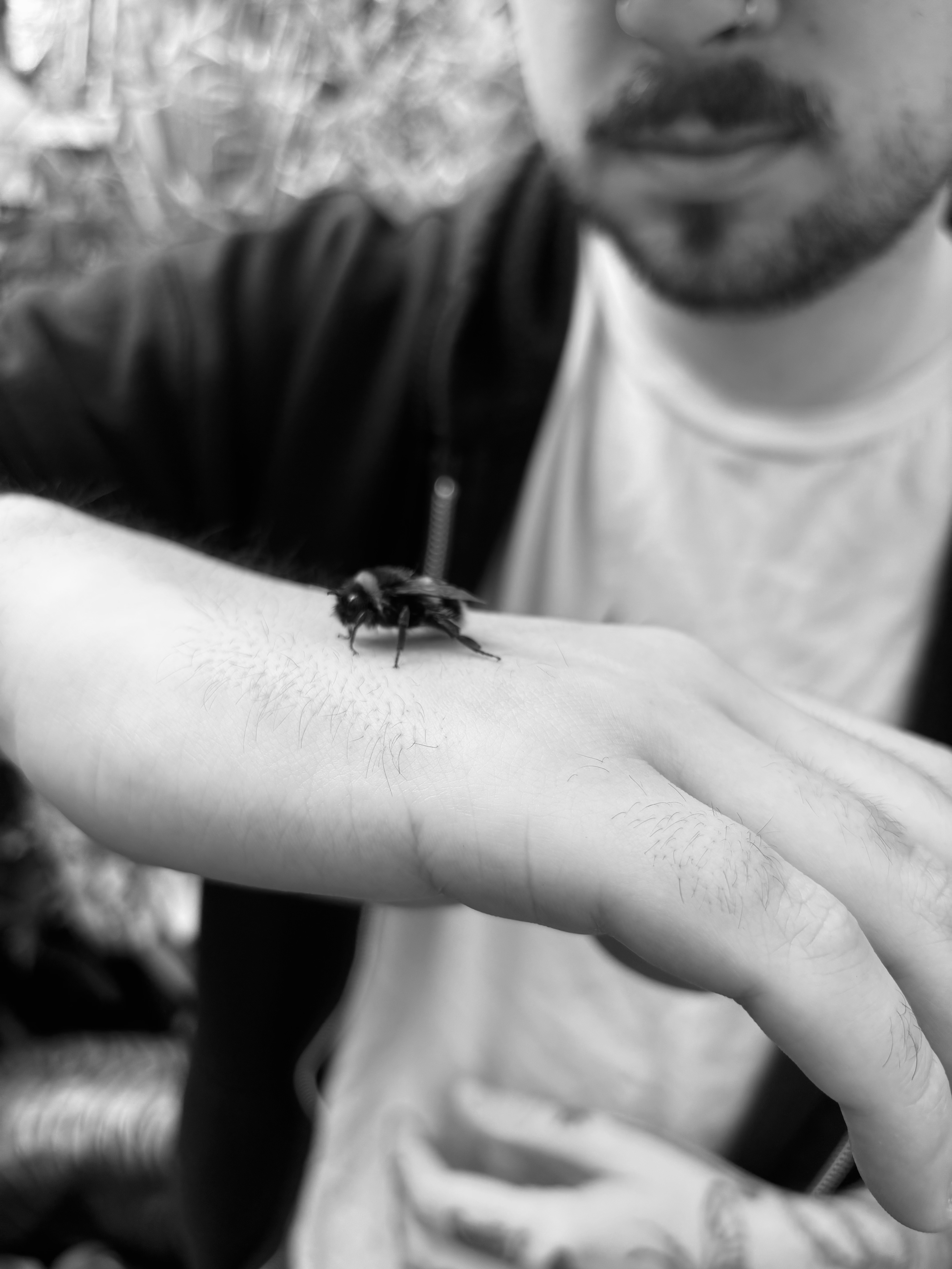 Myself holding a bee
